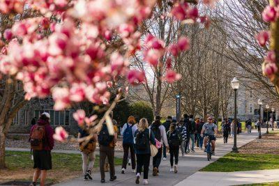 A group of students walk towards a building on the Blacksburg campus on an early spring day. 